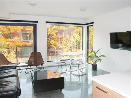 Cherche 1 Coloc / Looking For 1 Roommate