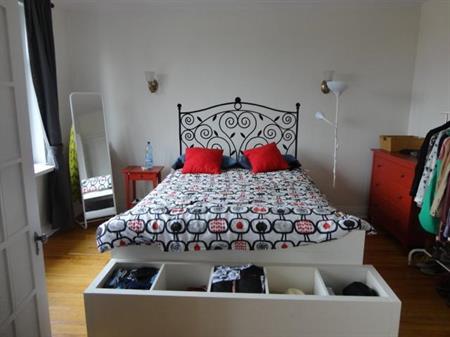 Everything included except wifi! - Beautiful, renovated, huge 3 1/2 , art deco, AAA location (Montreal)