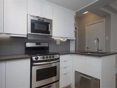 1 room apartment of 40m² in Montreal