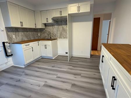 Bel Appartement 5 1/2 - Rosemont