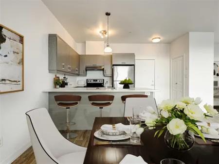 1 room apartment of 57m² in Sainte-Thérèse