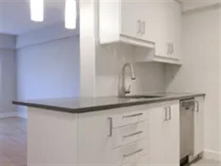 1 room apartment of 51m² in Montreal
