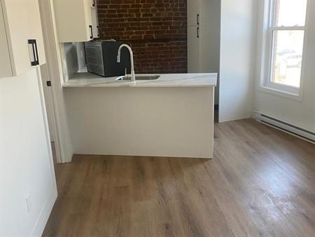 3 Bed, 1 Bath - 163 Rue Ontario Est, Ville-Marie