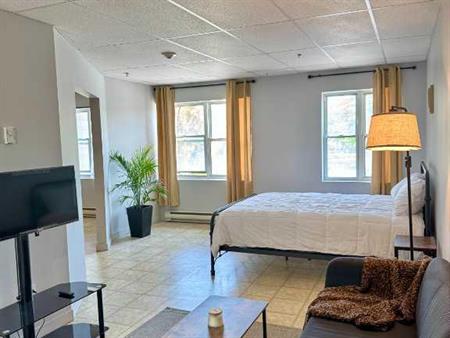 Grand Studio tout inclus a Granby , au bord de la riviere Yamaska ou les animaux sont permis!