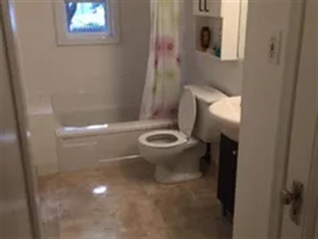 1 room room of 30 m² in Montreal