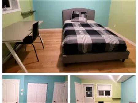 1 room room of 33 m² in Montreal