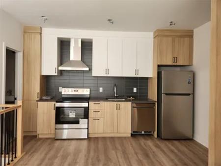 5 rooms apartment of 103 m² in Montreal