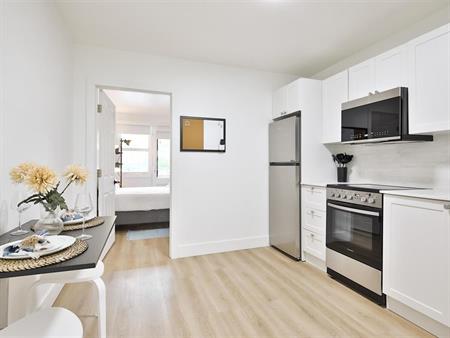 One Bedroom + Den - 1675 Rue Rachel Est, Montréal