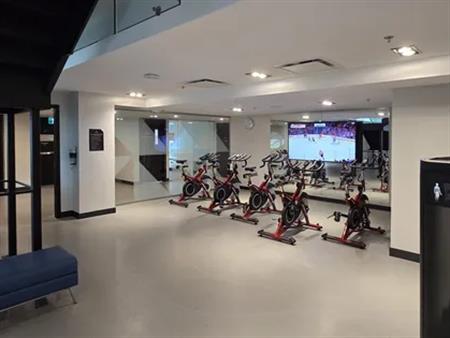 1 room apartment of 161m² in Montreal