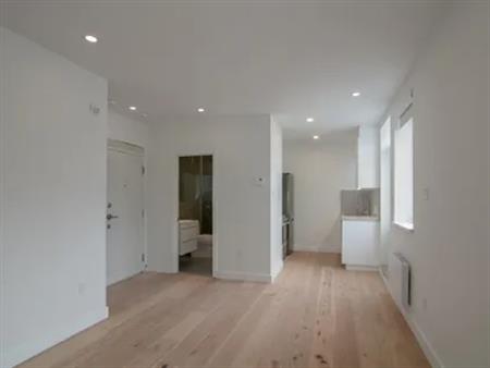 1 room studio of 29m² in Montreal