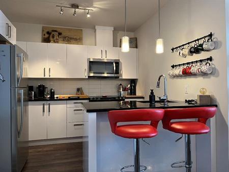 UNITÉ DE COIN! VIVEZ VOTRE LUXE ! Magnifique condo haut de gamme de 2 chambres situé dans un immeuble sécuritaire et près d'u