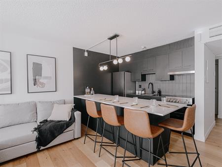 OSTRA Appartements Loft Entièrement Meublé à Louer Saint-Jean-Baptiste Juillet 2025