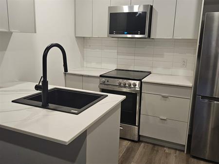 1 CH - 1 SDB - Montréal - $1,245 /mo