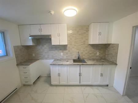 Tres grand Magnifique 3 ½ Neuf à Louer – Anjou
