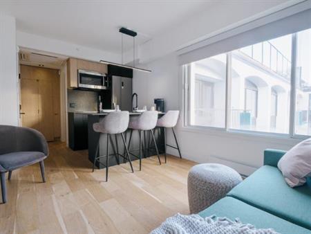 Loft entièrement meublé à louer Saint-Jean-Baptiste juillet 2025