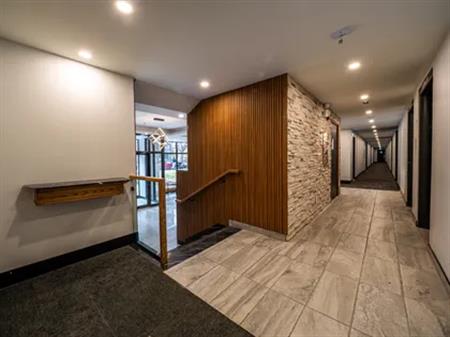 1 room apartment of 99 m² in Montreal