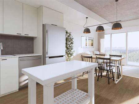 Villeray - Superbe Condo 3 1/2 Rénové