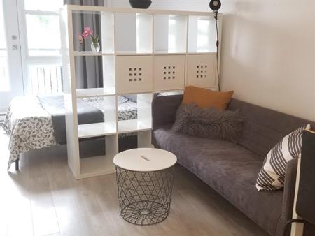 Studio - Montréal - $1,145 /mo