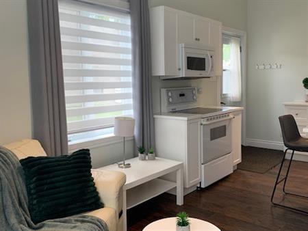 Loft Meublé Tout Inclus Pour Travailleur