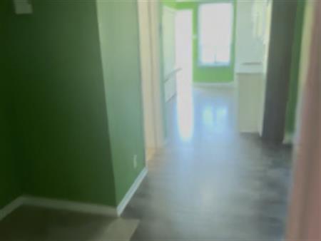 Logement 3 1/2