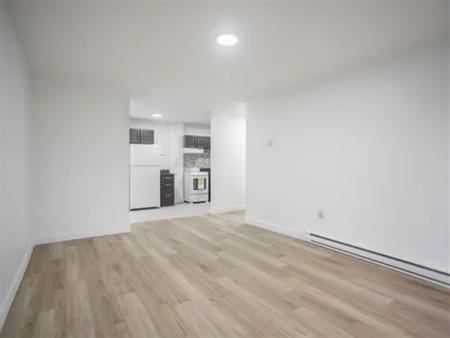 1 room apartment of 49m² in Montreal