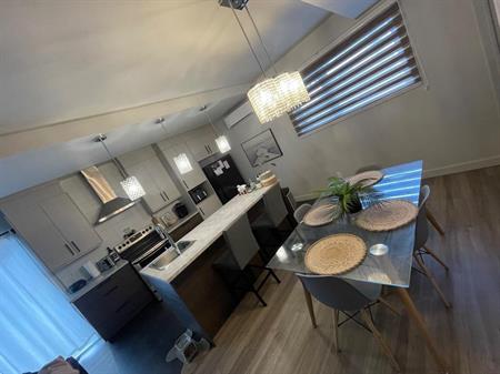 Appartement droit aux chiens !!!✨
