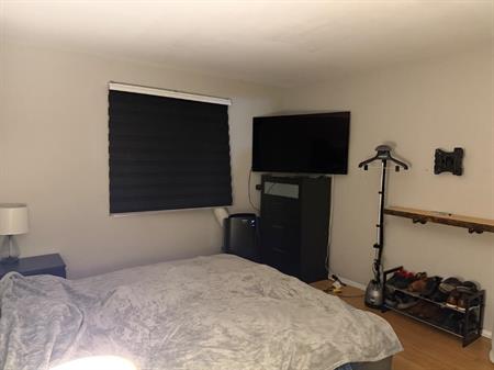 Logement à louer