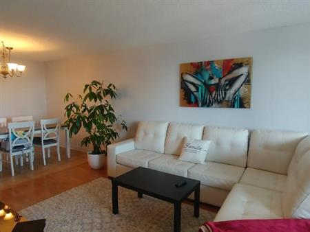 ✨ Magnifique 4 1/2 à louer tout inclus, à 6 min de Montréal, Havre-des-Îles, Île Du Tremblay, Laval