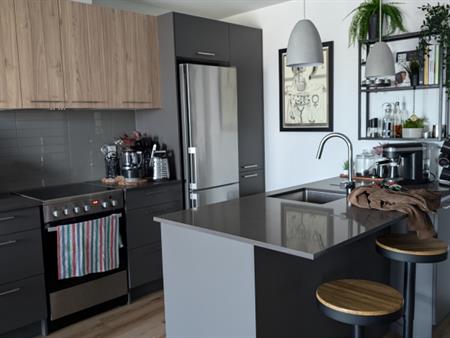 Condo 3 1/2 - Montmorency