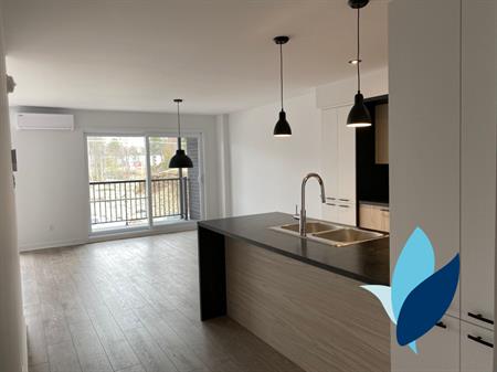 Logement 5 1/2 - Nov 2025 - Wifi Inclus