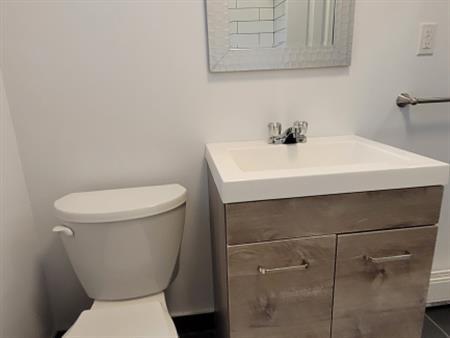 3 1/2 Bas De Duplex- Rénové Et Isolé