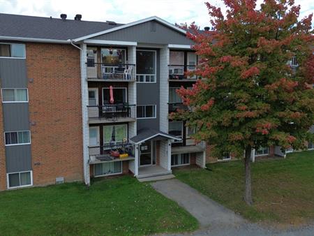 SUPERBE 3 ½ |EN RÉNOVATION|SEPTEMBRE