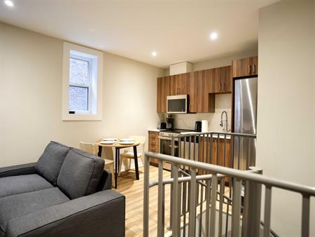 1 Bedroom - 3540 Rue Durocher, Montréal