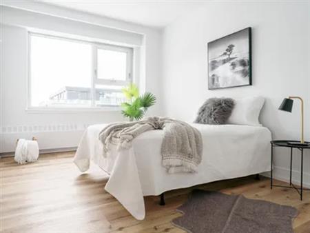 1 room apartment of 140m² in Westmount