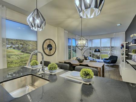 Superbe Condo 3 ½ à Louer à Terrebonne
