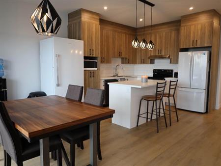 Spacieux logements 3 chambres 2022 St-Hyacinthe LIBRE - appartement à louer -