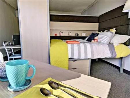 1 room of 33m² in Montreal