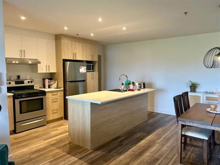 Grand 4 1/2 à Louer - Sainte-Julienne -