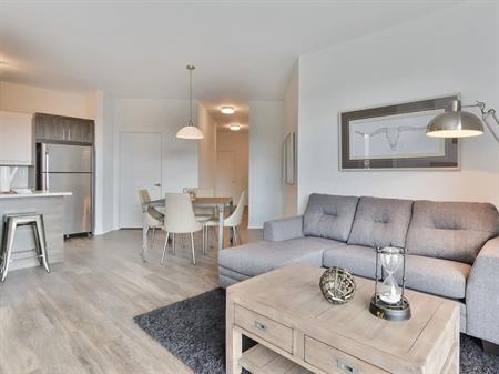 1 Bedroom - 7165 Lunan Street, Brossard