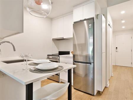 Studio à Louer Ahuntsic