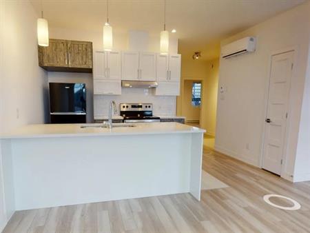 Appartement 4 1/2 à louer