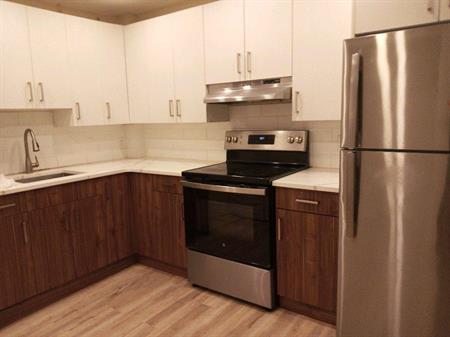 very nice and big 3.5 apartment for rent-APPLIANCES INCLUDED