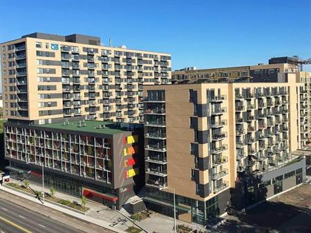 3 1/2 Sainte-Foy, 1er septembre, cession de bail, 1er mois gratuit
