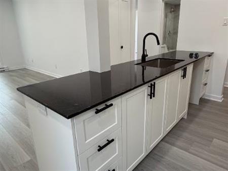 À louer – Magnifique condo 4 ½ entièrement rénové – 1050 pi²