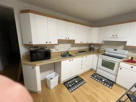 1 room of 26m² in Montreal