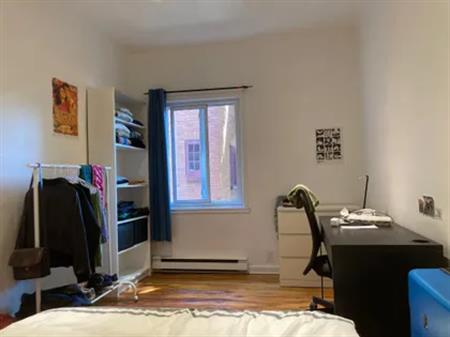 1 room of 30m² in Montreal