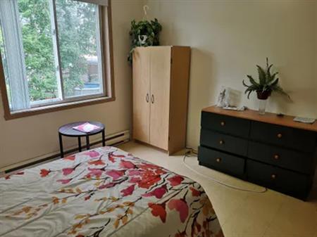 1 room studio of 24m² in Montreal