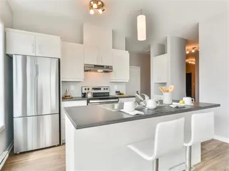 1 room apartment of 77m² in Longueuil