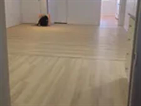 3 rooms apartment of 88m² in Montreal