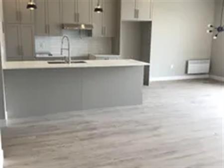 4 rooms apartment of 133m² in Sherbrooke